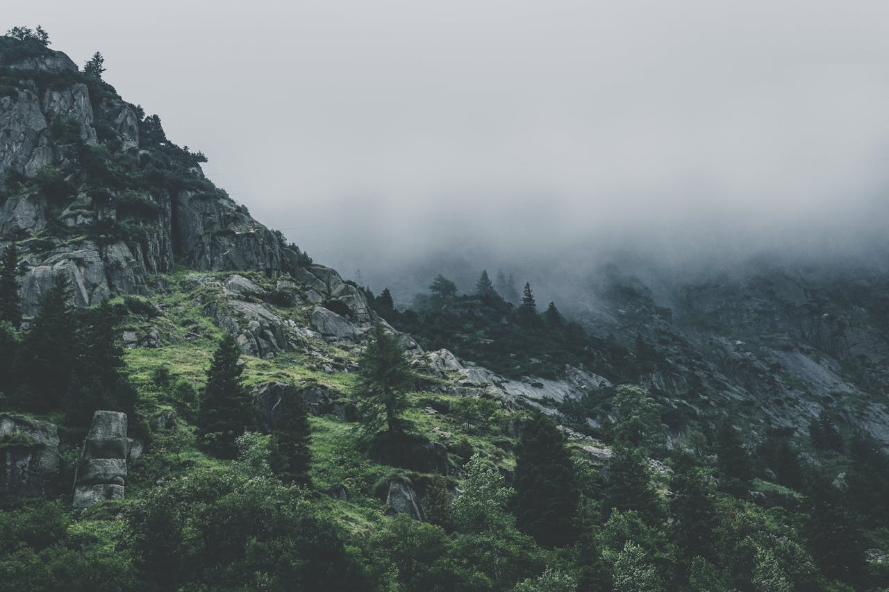 nature